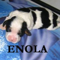 Enola bébé