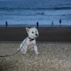 En vacances à la mer