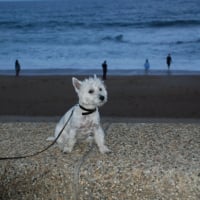 En vacances à la mer