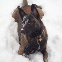 ma 1ére neige!!!j'adore!!!