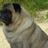 DOUDOU on the beach