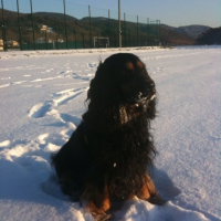 C'est bon la neige quand même