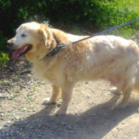 en promenade