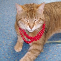 Moi et mon magnifique collier rouge!!!