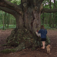 nous rendons visite a notre arbre .....