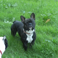 eros qui fait les beaux yeux^^