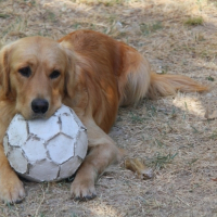 J'ai le ballon !