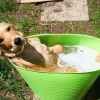 Je suis relaxe dans mon bain !