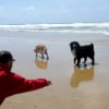 à la plage avec la vieille Perle