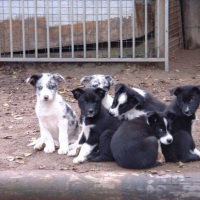 La bande, moi tout a gauche !