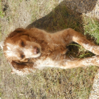 Gomette à pris son bain :D