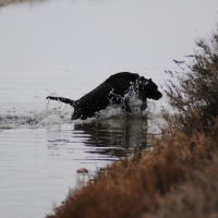 Toujours dans l'eau :D