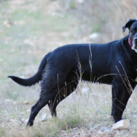 Dommage pour ma babine je n'avais pas vu :s mais je fais une belle pose non?