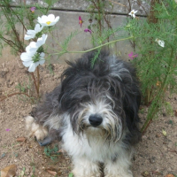 Parmis les fleurs, Que Du Bonheur !!!