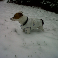 Flip dans la neige