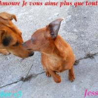 Photo #249616 de Jessy