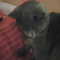 Photo #250568 de Minette