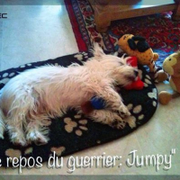 Jumpy-5 Mois