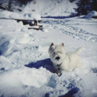 Jumpy à la montagne