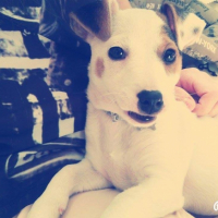 Photo #259369 de Nala