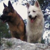 arno et farouk
lors d une ballade dans la colline