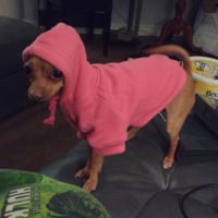 Zoey la gangsta