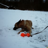 Ma première neige !