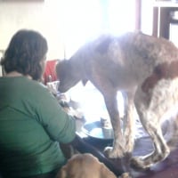 sur la table pour manger dans mon assiette