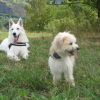 (2012) Vacances avec mon "grand" frère, Fauve, en Savoie