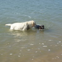 a l"ile d'Oléron avec  mon grand copain Vyny !