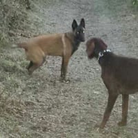 MASKA et son meilleur copain: GUEST dans la campagne gelée du LOT!