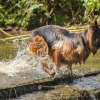 Les jeux d'eau