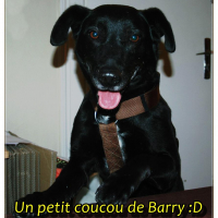 Photo #276892 de Barry