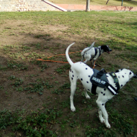 au parc avec les copains