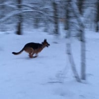 OUAI OAUI OUAIII je l'aurai je l'aurai ...le bâton ..!!!