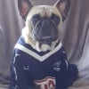 Comme mon maître adoré je supporte les Girondins de Bordeaux