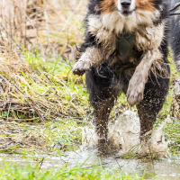 L'eau c'est cool