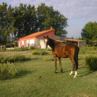 Photo de profil de Romulus de joux