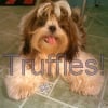 Photo de Truffles