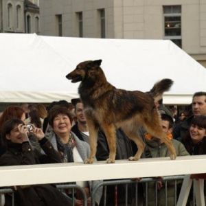 Photo de profil de Ambre