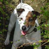 Photo de profil de Lana de la gravière