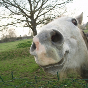 Photo de profil de Bold silver