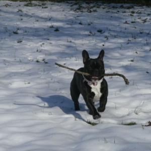 Photo de profil de Eros