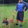 Photo de Dino, Berger Allemand