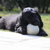 Photo de profil de Elisa