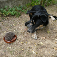 Photo de profil de Héri