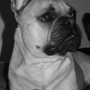 Photo de profil de Diesel