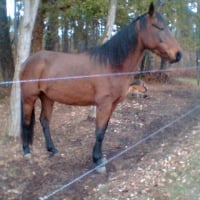 Photo de profil de Gaetane du pilou