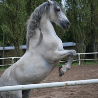 Photo de profil de Cantinéro