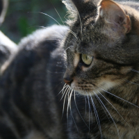 Photo de profil de Pénélope